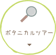 ボタニカルツアー