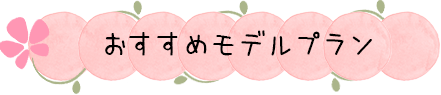 おすすめモデルプラン