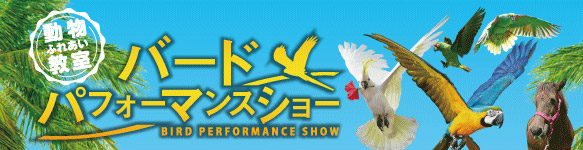 バードパフォーマンスショー