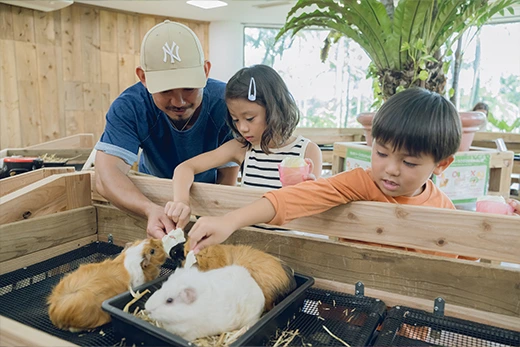 かわいい動物に癒される