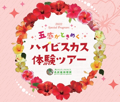 【土・日限定】五感がときめくハイビスカス体験ツアー