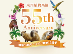 創業55周年アニバーサリー