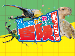 わくわく夏休み冒険学校2025