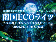 南国ECOライツ　全国第1位を受賞したエコイルミネーション