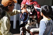 2018.01.18週刊ほーむぷらざ「看板犬マチコ」掲載