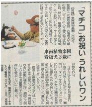 沖縄タイムス地域面へ掲載されました「看板犬マチコ3歳誕生会」