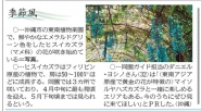 沖縄タイムス「季節風」ヒスイカズラについて掲載されました