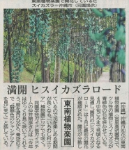 琉球新報市町村面へ「ヒスイカズラ開花」について掲載されました