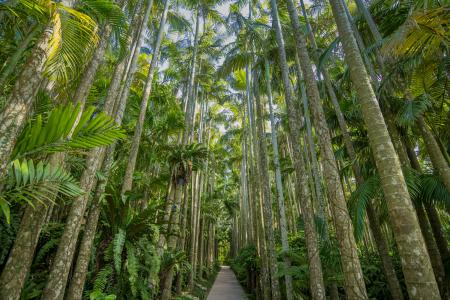 東南植物楽園　国登録文化財（登録記念物）に認定！