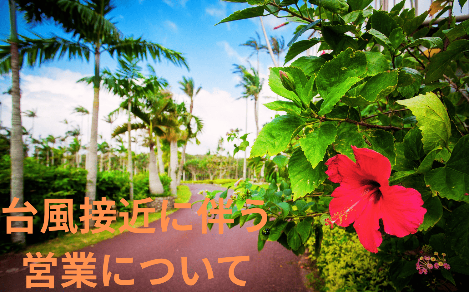 【8月27日（木）～エアプール/夜間営業再開】