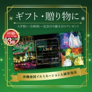 【ギフト・贈り物に】沖縄南国イルミネーション入園券発売