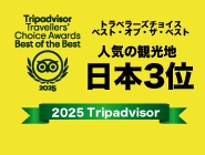 人気の観光部門スポット「日本3位」　2025トラベラーズチョイスアワード