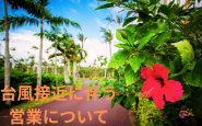 【8月27日（木）～エアプール/夜間営業再開】