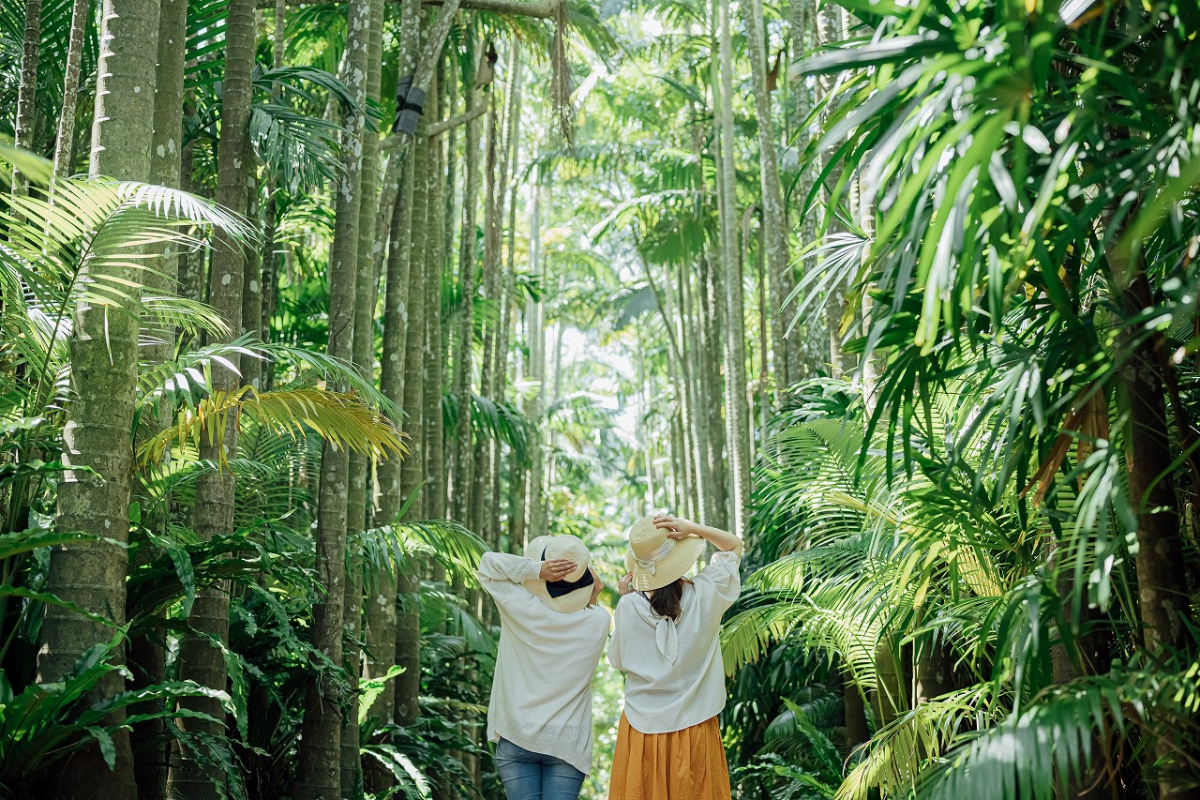 公式】東南植物楽園 | 沖縄北インターからすぐ