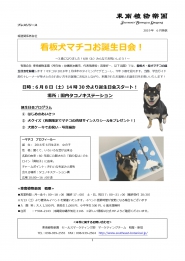 柴犬マチコ誕生日会