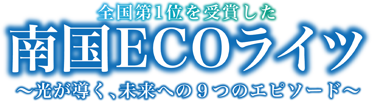全国第一位を受賞した『南国ECOライツ』