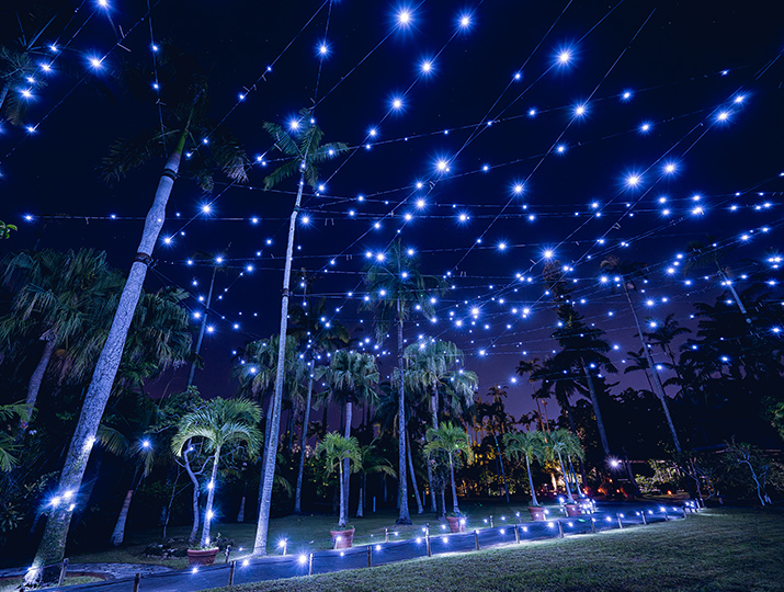 公式】東南植物楽園 | 沖縄北インターからすぐ