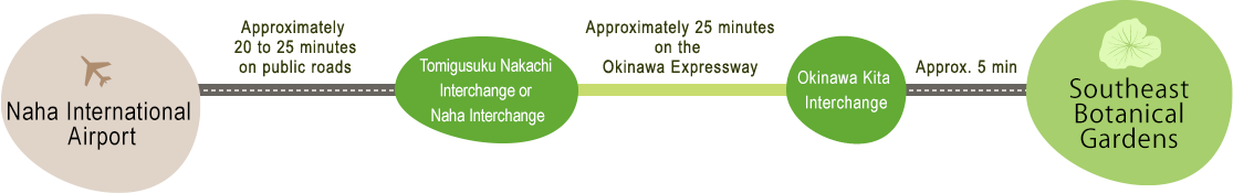 By car from the airport