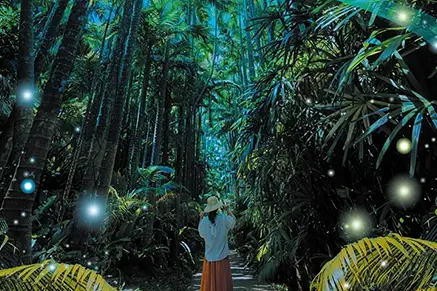 Enter a world of lights with someone special