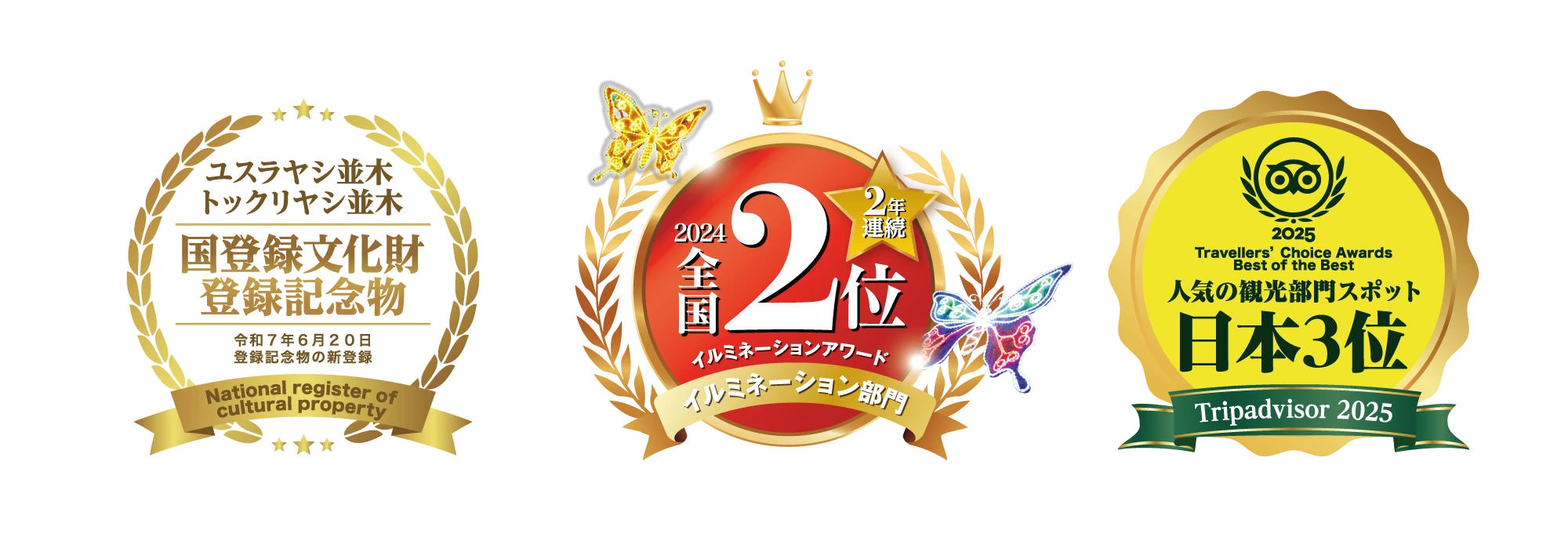 2023 National Illumination Event Category 2nd Place, One of Okinawa's Three Great Night Views, TripAdvisor Popular Sightseeing Spot Category Japan 1st Place