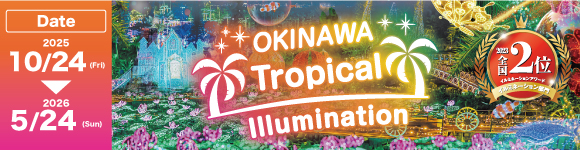 イルミネーションアワード 全国2位南国イルミネーション