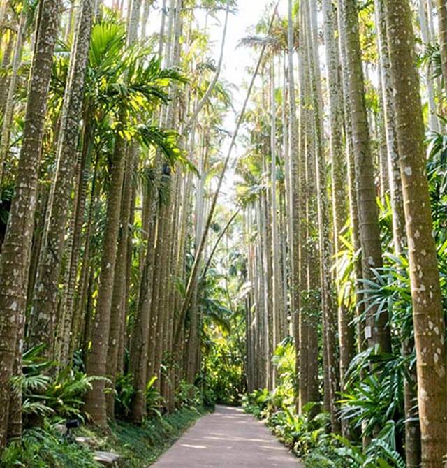 Southeast Botanical Gardens in Japan