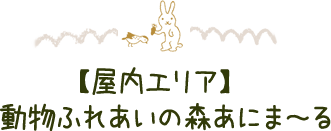 【屋内エリア】動物ふれあいの森あにま～る