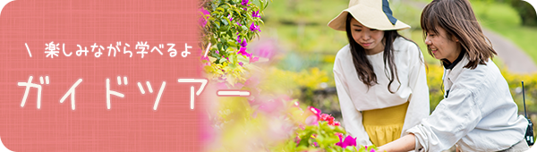 ガイドツアーのご案内