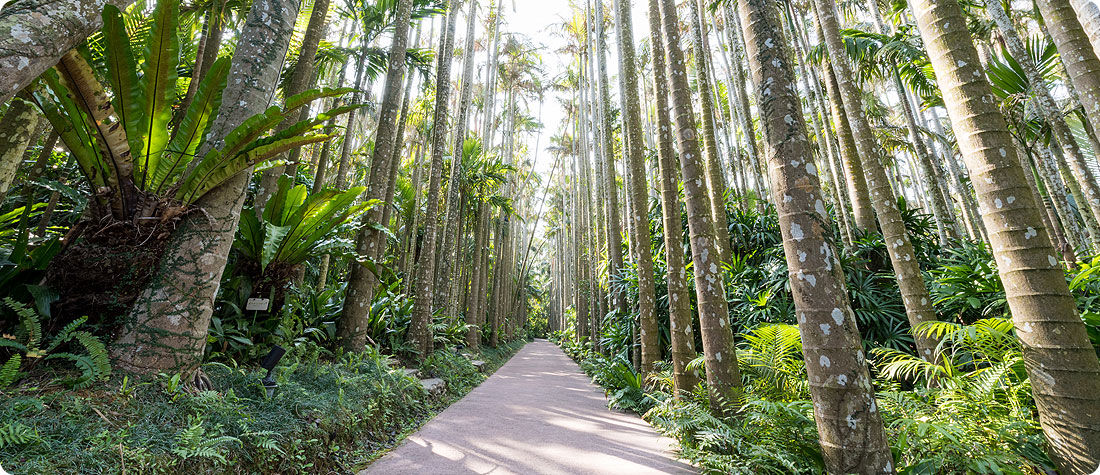 植物園イメージ