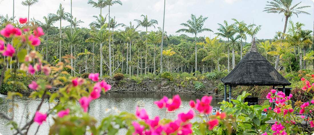 水上楽園イメージ