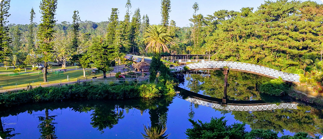 水上楽園イメージ