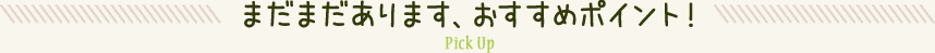 まだまだあります、おすすめポイント！