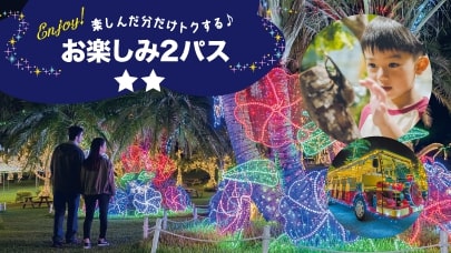 ライトアップされた森の小径とイルミネーション