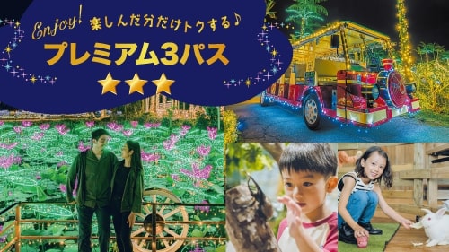 イルミネーションの教会前で光に包まれる風景