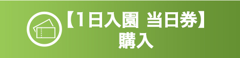 当日券購入はこちら