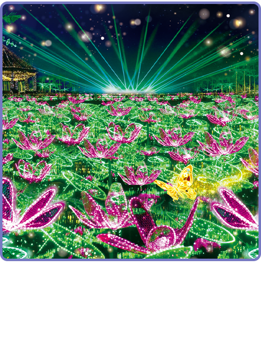 沖縄南国イルミネーション2023 ひかり輝く南国の花たち | 【公式】東南