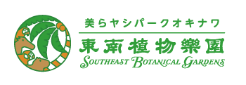 Okinawa Tropical Illumination 2024