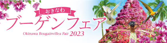 おきなわブーゲンフェア Okinawa Bougainvillea Fair2023
