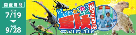 夏休みわくわく冒険学校 2025/7/19～9/28
