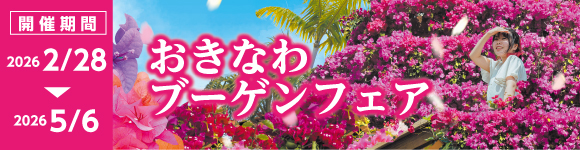 おきなわブーゲンフェア 2026/2/28～5/6