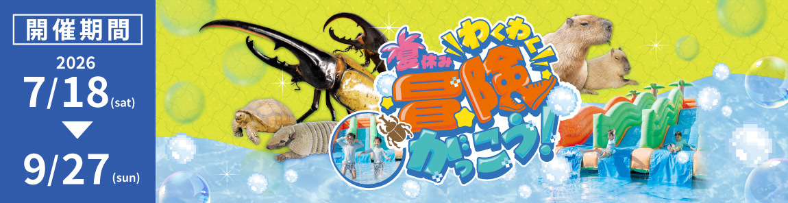 夏休みわくわく冒険がっこう2026 7月18日から9月27日まで