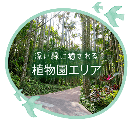 植物園エリア