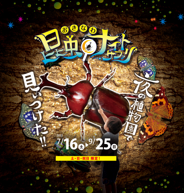 公式 東南植物楽園 沖縄北インターからすぐ