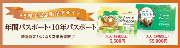55周年記念限定デザイン 年間パスポート・10年パスポート 数量限定！なくなり次第販売終了
