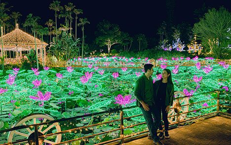 일루미네이션 이미지 2