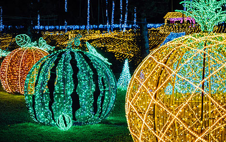 일루미네이션 이미지 3