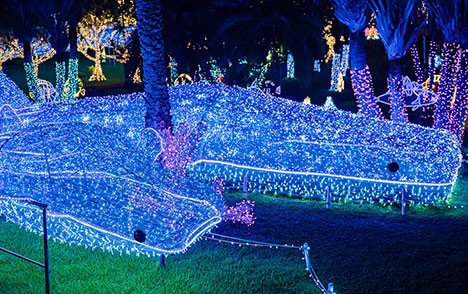 일루미네이션 이미지 4