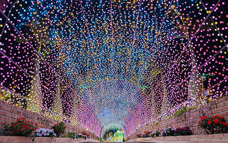 일루미네이션 이미지 6