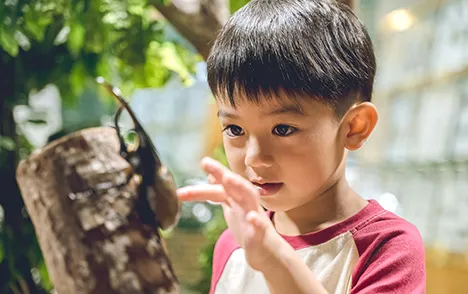 세계의 곤충을 관찰해보자!