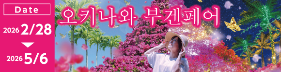 おきなわブーゲンフェア 2026/2/28～5/6